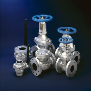 Cast Iron Valve
